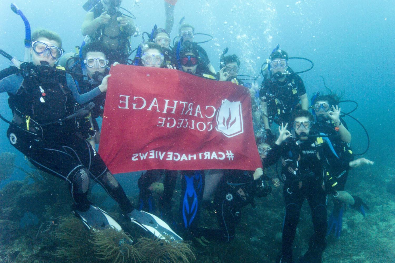 学生们手持<a href='http://ysxo.ngskmc-eis.net'>博彩网址大全</a>旗帜，在j学期洪都拉斯游学之旅中潜水.